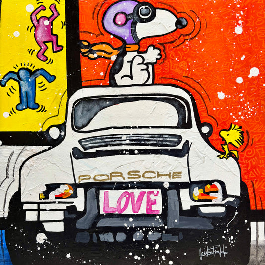 Snoopy 911 abstraction
